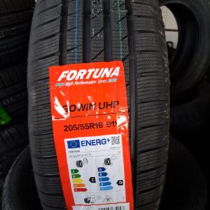 Fortuna Gowin 205/55 R16 91V